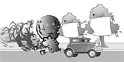 省生態(tài)環(huán)境廳、省公安廳來我市調(diào)研機(jī)動車污染防治工作