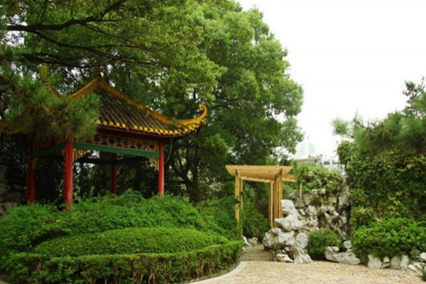 如何讓土地“變肥”，讓樹苗“夠吃”？