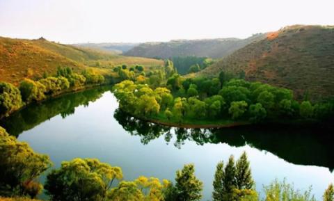 湖北園林綠化檔次提高，產品升級是必然，趕緊跟上這個趨勢