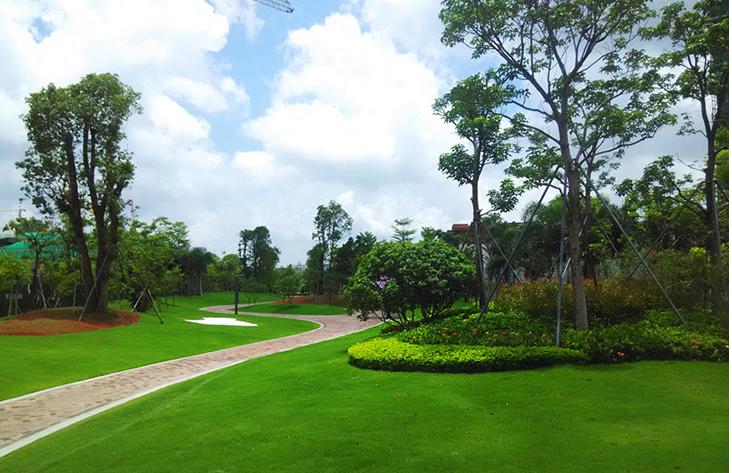 園林干貨│綠化施工流程說(shuō)明，一定要看！