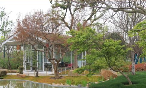 園林景觀樹(shù)木布置時(shí)需要注意哪些?