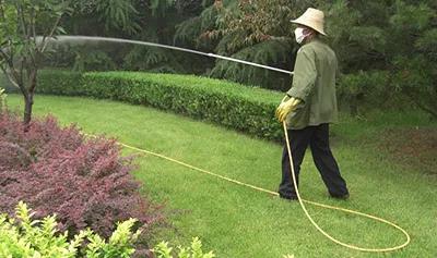 干貨：喬木移栽保證成活的12大方法！