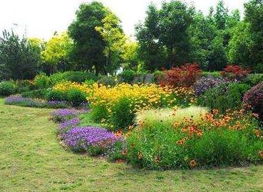 市政工程道路園林綠化要點，你了解嗎