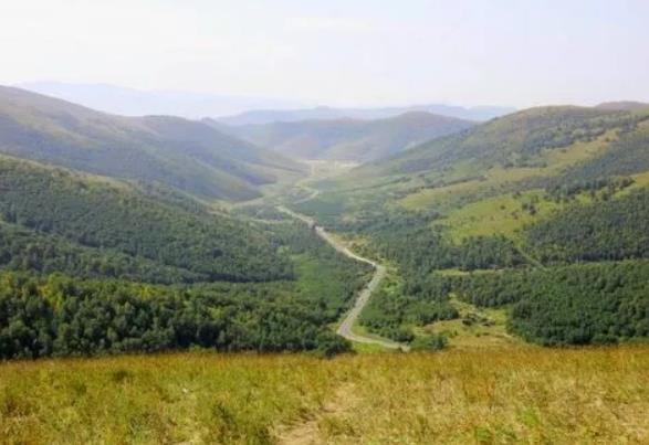 國家森林公園被“毀容”，誰在選擇性“失明”？