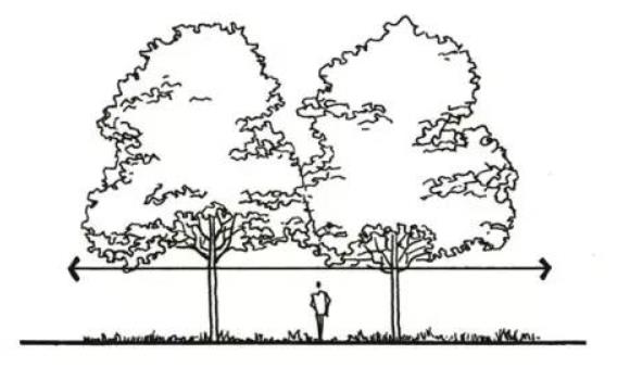 干貨 | 一文看懂，園林景觀植物設(shè)計(jì)！