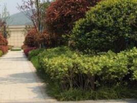 園林設計的原則一般有什么呢？